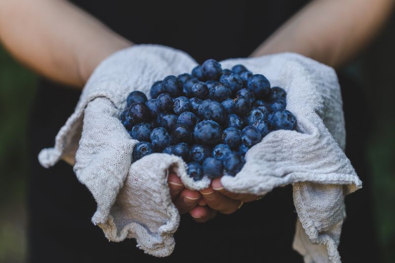 storage-tips-to-extend-how-long-do-blueberries-last-in-the-fridge