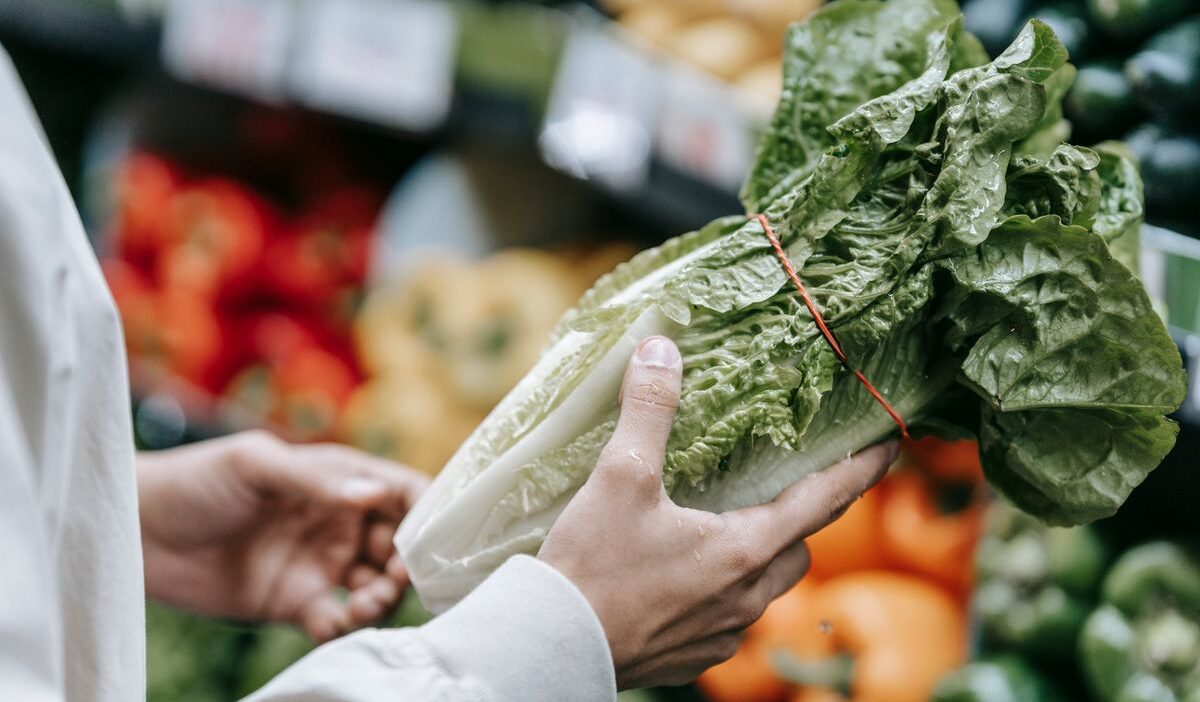 does sprouts take ebt