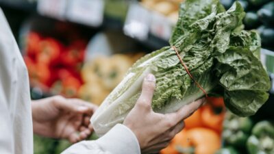 does sprouts take ebt