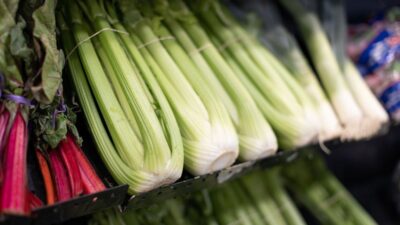 how-long-does-celery-last-in-the-fridge