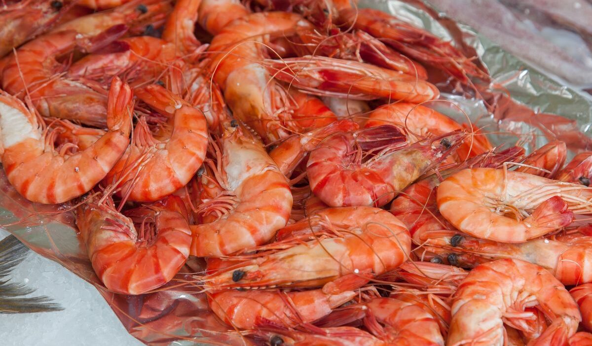 how-long-does-shrimp-last-in-the-fridge