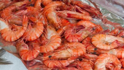 how-long-does-shrimp-last-in-the-fridge