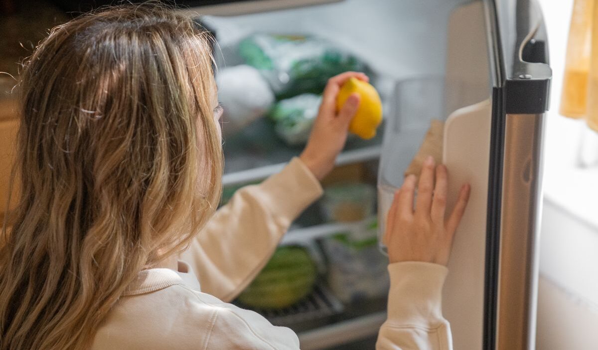 how-long-can-food-last-in-fridge-without-power