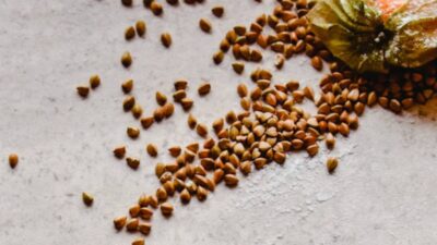 is-buckwheat-gluten-free